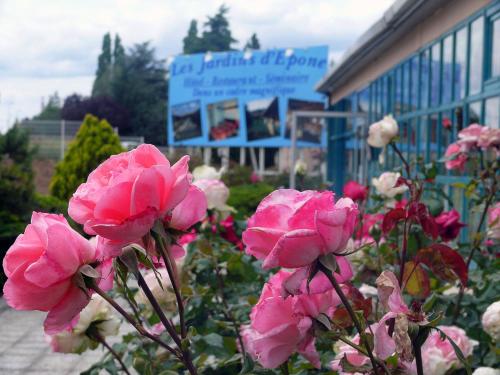 Сад в Hotel Restaurant Les Jardins D'Epône