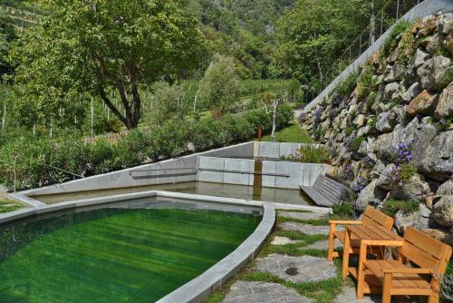 a swimming pool in a garden with a bench at Residence Blumenthalerhof in Lagundo