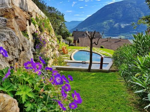 The swimming pool at or close to Residence Blumenthalerhof