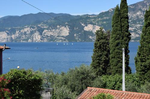 a view of a large body of water with trees at Hotel Vela Azzurra in Malcesine