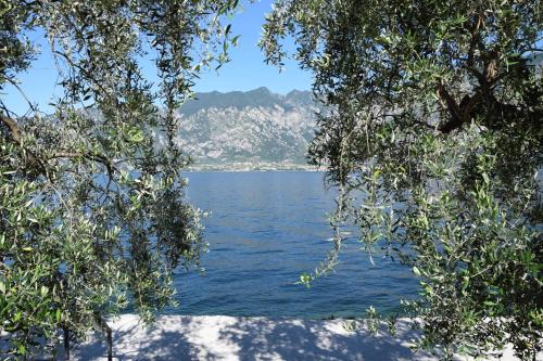 a view of a lake through the branches of trees at Hotel Vela Azzurra in Malcesine