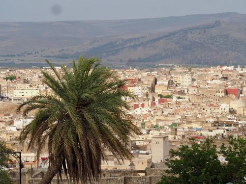 Gallery image of Riad Toyour- Riad of birds in Fez