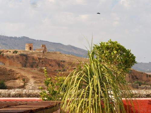 Gallery image of Riad Toyour- Riad of birds in Fez