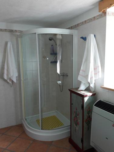 a shower with a glass door in a bathroom at B&B DOLOMIA in Sagron Mis