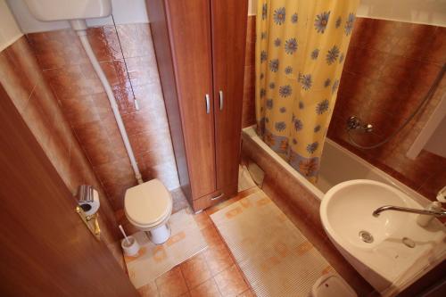 Baño pequeño con aseo y lavamanos en Apartman Anka, en Novi Vinodolski