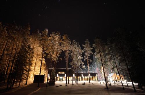 a group of trees at night with lights at Kubija Hotel and NatureSpa in Võru