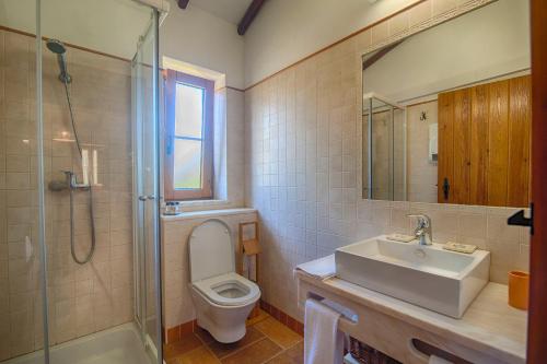 a bathroom with a toilet and a sink and a shower at Monte Da Galrixa in Zambujeira do Mar