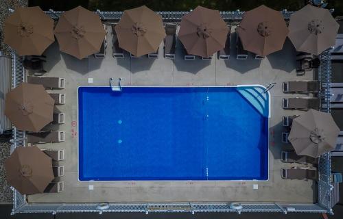 an overhead view of a swimming pool with umbrellas at Surfside Motel in Point Pleasant Beach