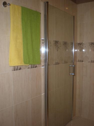 a bathroom with a shower with a green towel at Apartamenty KopeX in Kostrzyn