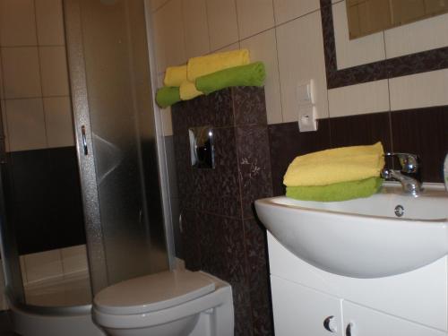 a bathroom with a sink and a toilet and a shower at Apartamenty KopeX in Kostrzyn