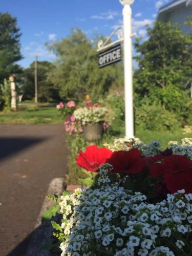 a street sign with red and white flowers in the street at Fair Isle Motel in Charlottetown