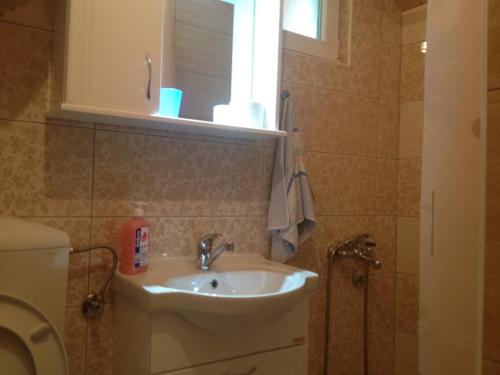 a bathroom with a sink and a toilet at Durmitor Apartments Holiday in Žabljak