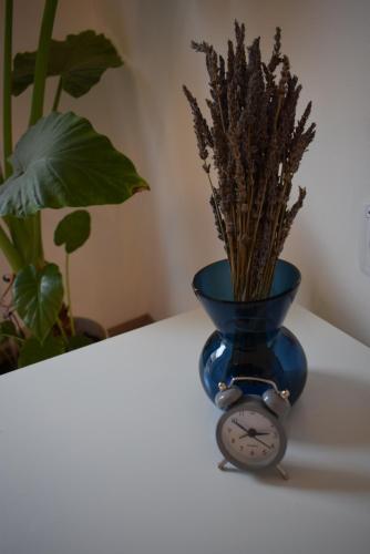 a blue vase sitting on a table with a clock at Apartments Pia in Subotica