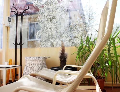 a balcony with a chair and some plants at Marben Panzió in Hegykő