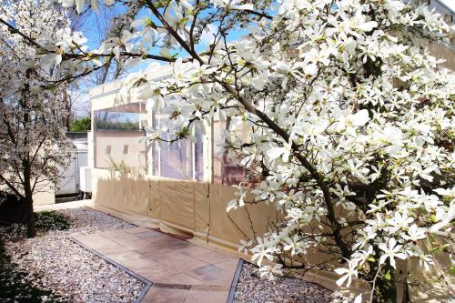 a white flowering tree in front of a building at Marben Panzió in Hegykő
