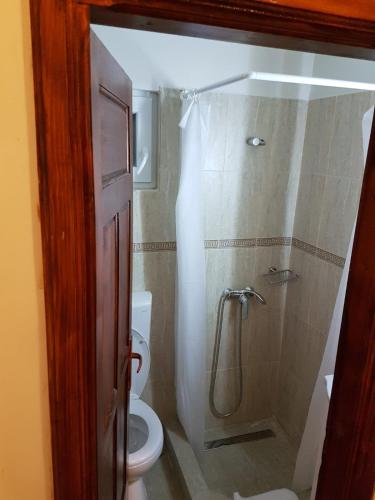 a bathroom with a shower with a toilet and a sink at Pensiunea Geostar 2 in Curtea de Argeş