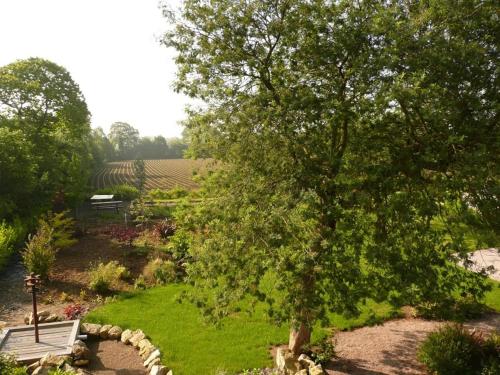 a tree in the middle of a garden with a bench at La Ferme du Père in Kermorocʼh