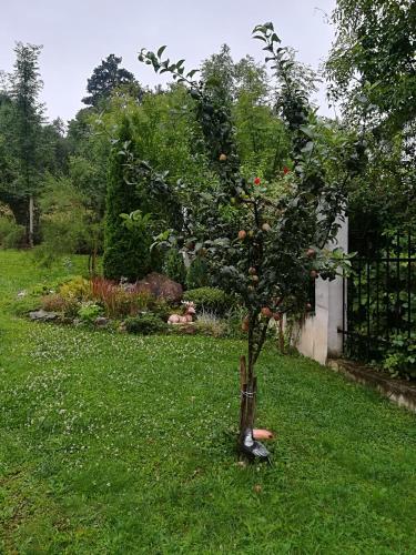 Κήπος έξω από το Guest House Balkanski Kat