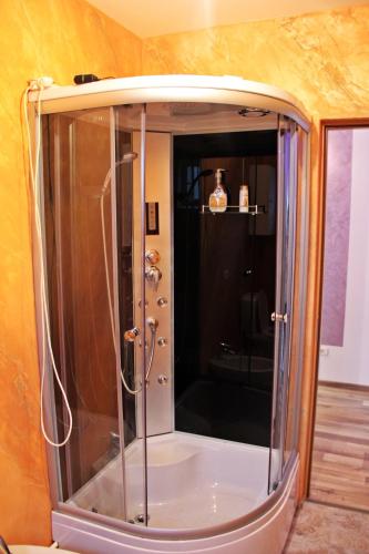a shower with a glass enclosure in a room at Panaite’s Home in Nehoiu