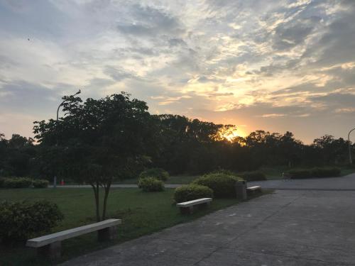 a group of benches in a park at sunset at Kinmen Laoye B&B in Jinhu