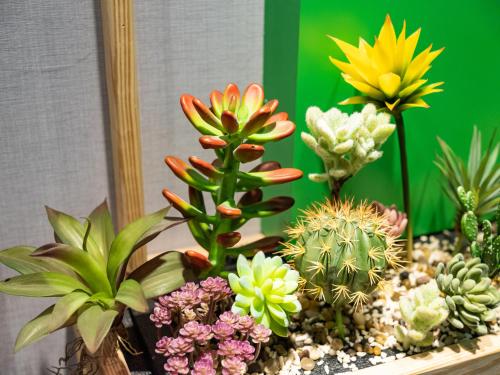 a bunch of different types of plants in a pot at Gwawa Hotel in Kaohsiung