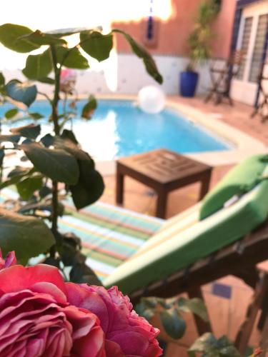 a swimming pool with a table and a flower at Logis Hôtel Restaurant de la Paix in Lodève
