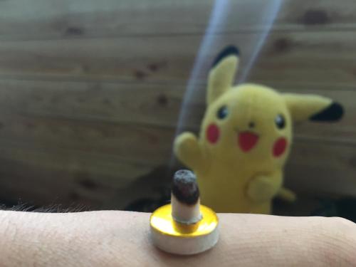 a toy of a pikachu is on a persons arm at わくわく自然体験の宿ゲストハウス山楽 in Itoigawa