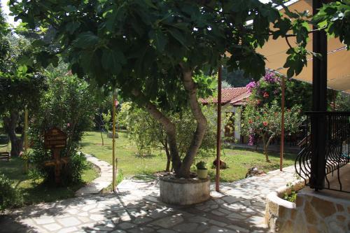 a tree in a garden next to a house at Joanna's Studios in Lassi