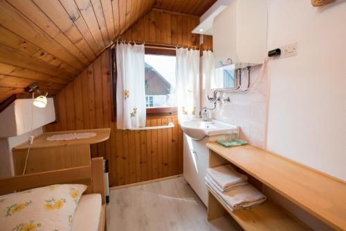uma pequena casa de banho com um lavatório e um lavatório em Rooms Pekovec Bohinj em Bohinj