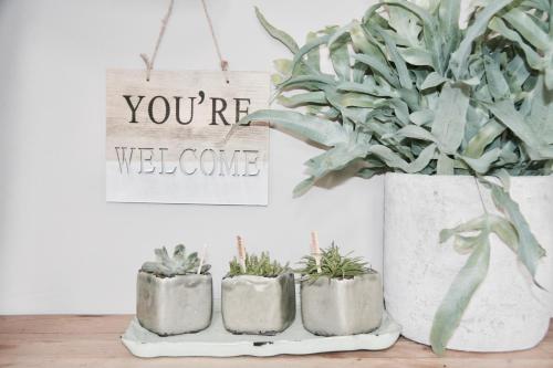 a group of potted plants sitting on a table at Bed & Breakfast Zeeland in Renesse