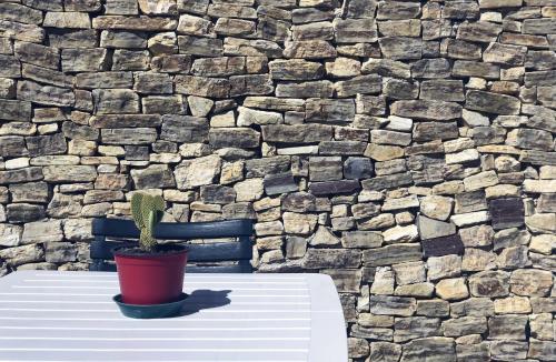 un cactus sentado en una mesa frente a una pared de piedra en Residence del Golfo, en Castellammare del Golfo