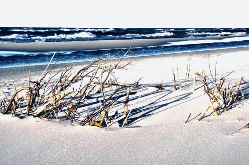 Gallery image of Willa Cove in Jastarnia
