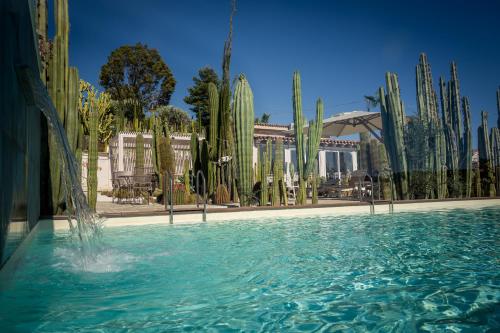 a pool of water with cactus in the background at Garden Cactus in Villaggio Mosè