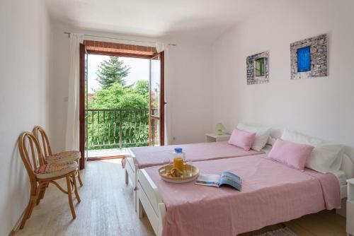 Apartments Terrarossa & House with pool