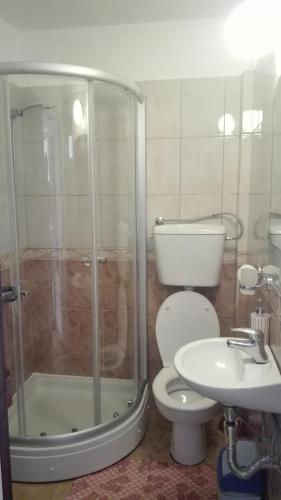 a bathroom with a shower and a toilet and a sink at Kotor Kelly Apartments in Kotor
