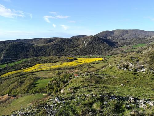 a view of a valley with yellow flowers on a mountain at Lo Cel De Tolo in Toló