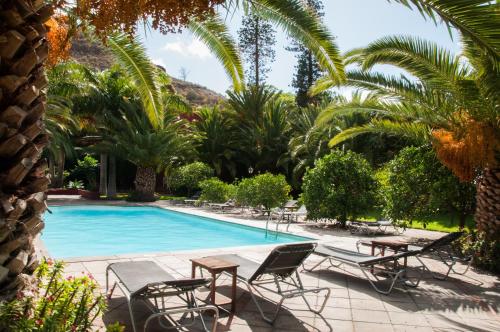 a swimming pool with chairs and palm trees at Hotel Rural Las Longueras in Agaete