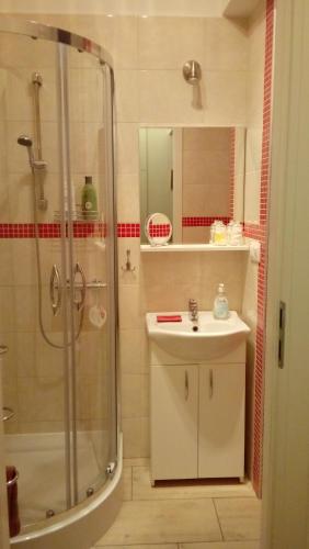 a bathroom with a shower and a sink at Apartament MARIA in Gdańsk
