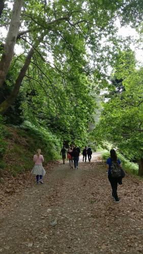 a group of people walking down a path in the woods at Hotel Steni in Stení Dhírfios