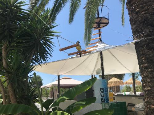 Gallery image of B&B El Dorado in Palinuro