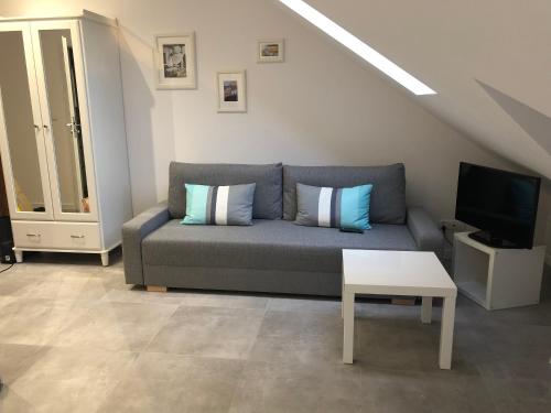 TV a/nebo společenská místnost v ubytování Apartament Julia
