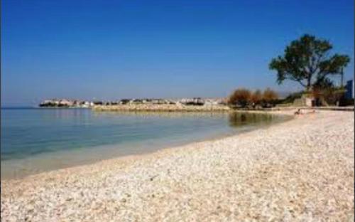 a beach with a tree and the water at Apartman MIG in Solin