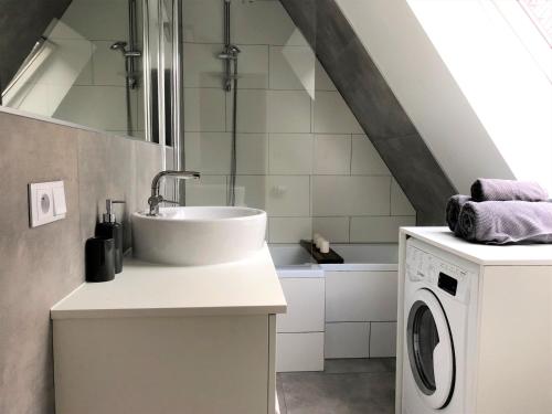 a bathroom with a sink and a washing machine at Pokoje Gościnne Parkowa 2 in Świeradów-Zdrój