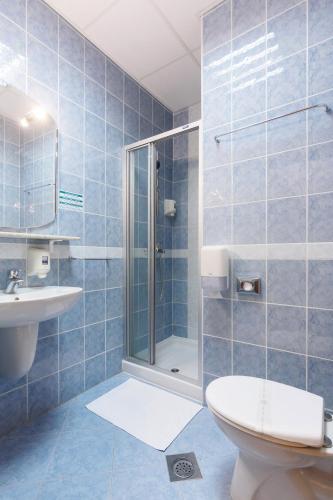 a bathroom with a shower and a toilet and a sink at Villa Vicko in Starigrad