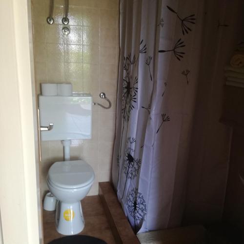 a bathroom with a toilet and a shower curtain at Apartman Stipe in Jelsa