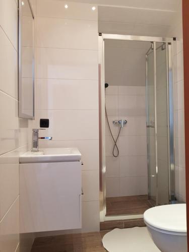 a bathroom with a shower and a sink and a toilet at MiraMar - Parking, wi-fi, Kuchnia ogólnodostępna in Krynica Morska