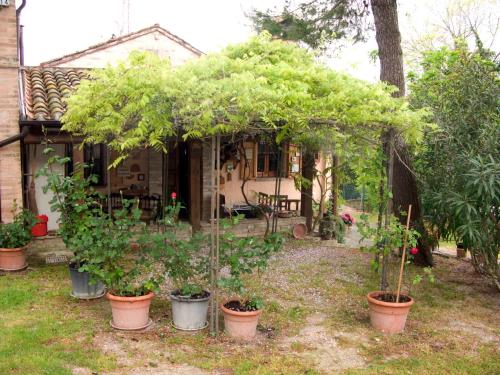 a group of potted trees in pots in front of a house at B&B La Cappellania in Montegiorgio
