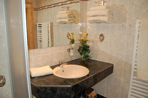 a bathroom with a sink and a mirror and towels at Appartementhäuser am Gothensee in Bansin