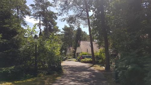 Gambar di galeri bagi wittebergen25 di IJhorst