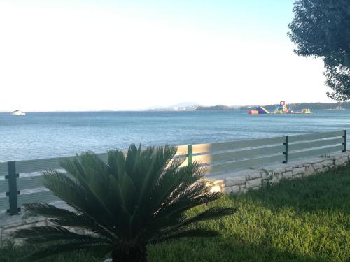 a palm tree next to a fence next to the water at Stami's Seaside Apartment in Pyrgi